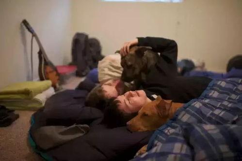 瓜哥爆料说瓜哥的视频,揭秘瓜哥视频背后的秘密与精彩瞬间